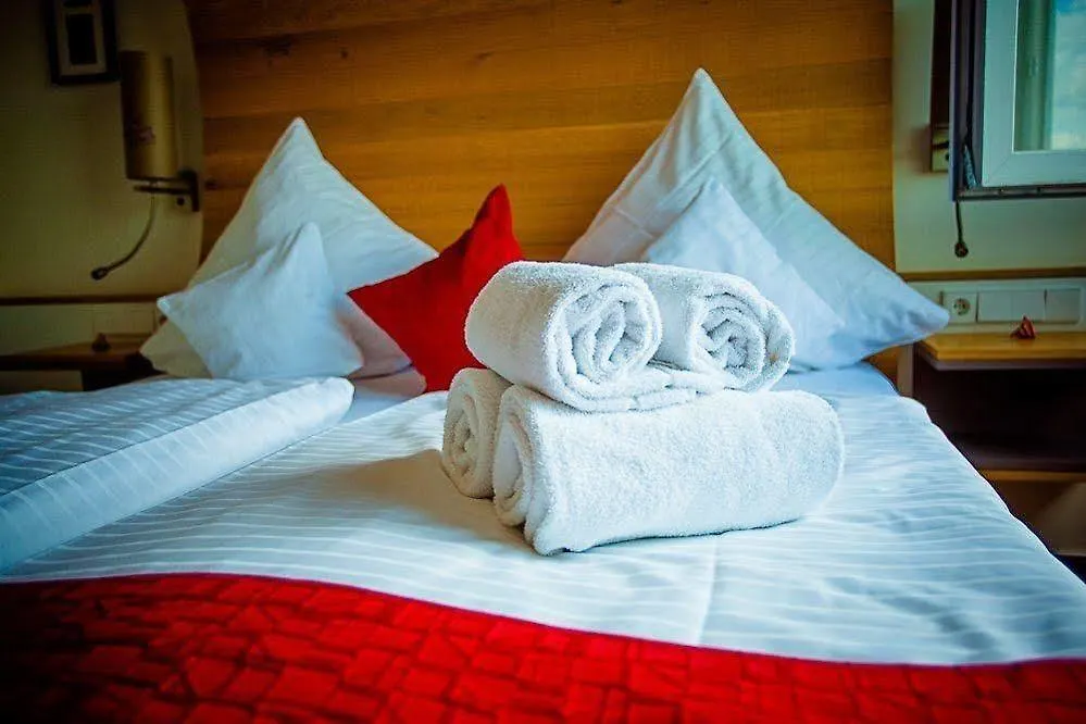 Hotel zur Malzmühle Köln 3*,